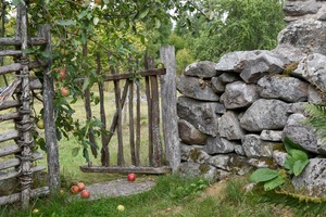 Foto: Mats Nymberg
