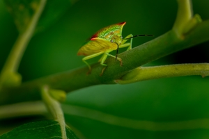 Foto: Mats Nymberg