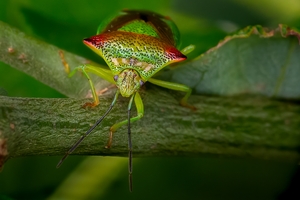 Foto: Mats Nymberg