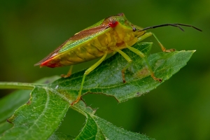 Foto: Mats Nymberg